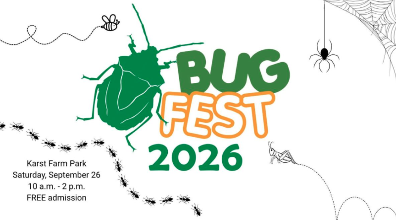 Bug Fest 2026