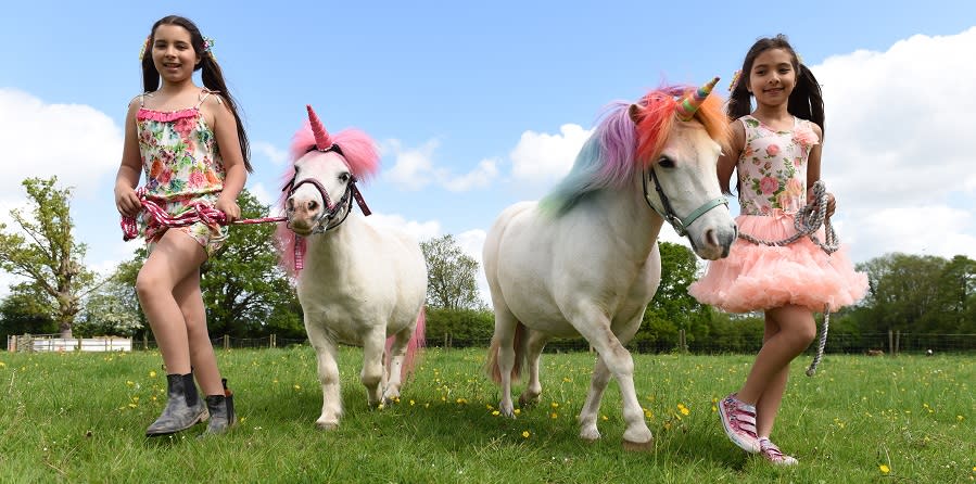 Unicorns on the lawns at Berkeley Castle!
