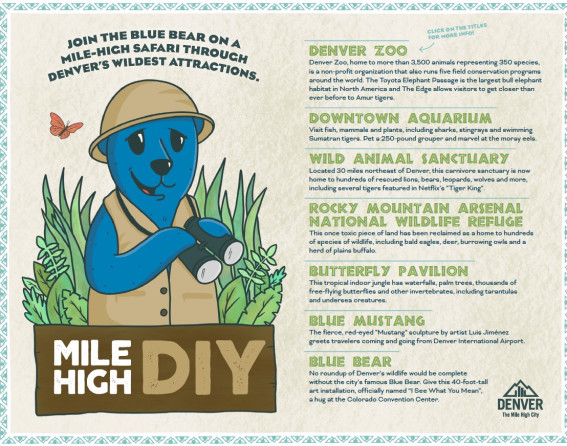 Mile High DIY_Safari
