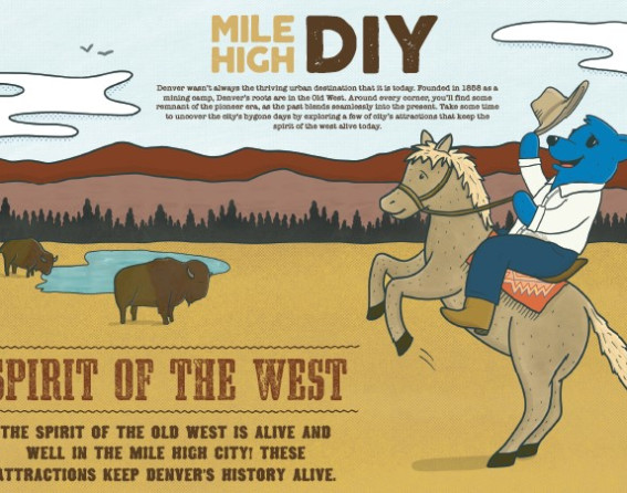 Mile High DIY_Western Spirit