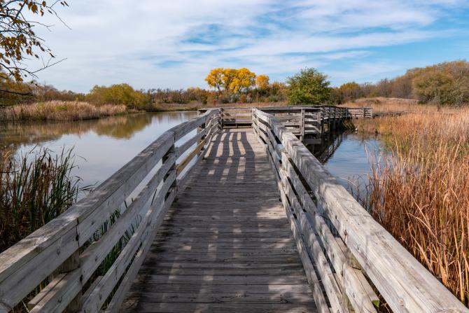 A wooden pier stretches out to a small pond lined with trees in fall foliage colors at Great Plains Nature Center in Wichita, Ks