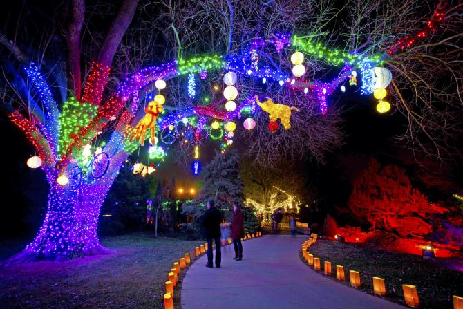 A couple stands beneath a tree filled with multicolored lights and animal-shaped lights at Illuminations
