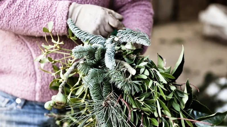 A woman wearing gardening gloves holds a bundle of foliage