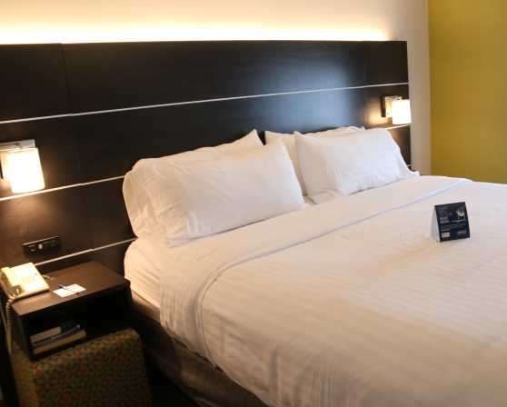 Holiday Inn Express & Suites - Wolf Road - Guest Room