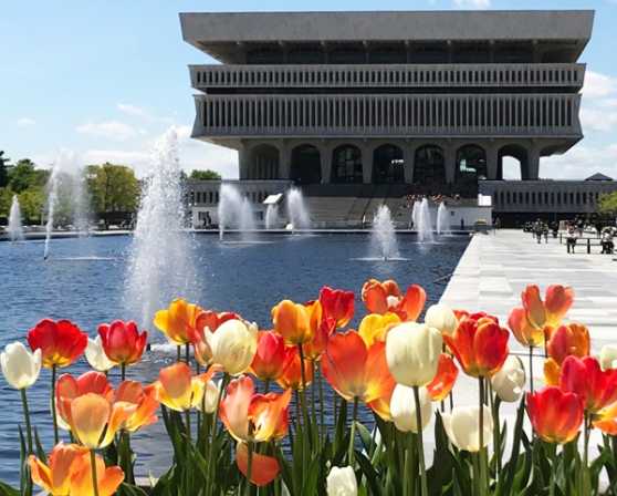 NYS Library