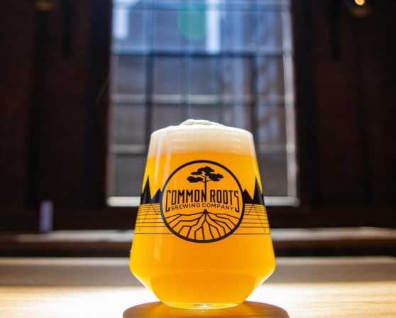 Outpost Beer