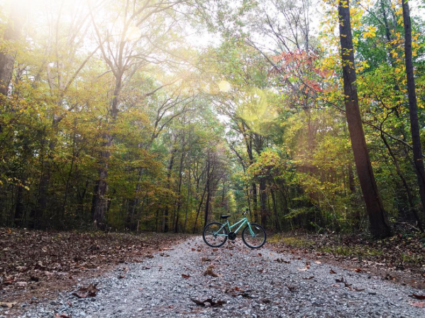 Wheeler-trail-and-bike_haileyclemmons