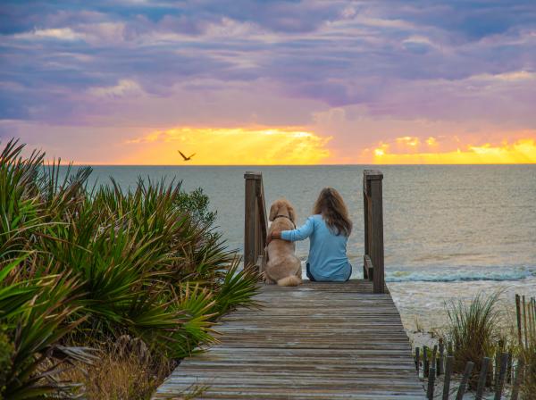 A woman and her dog sit on a boardwalk watching the sunset over the Gulf of Mexico