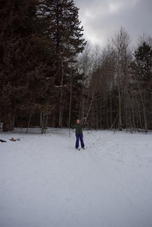 woman skiing in forest