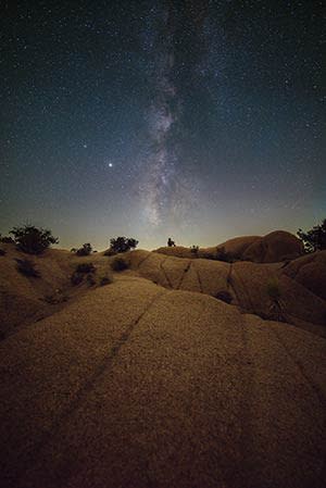 JackFusco-Joshua-Tree-Stargazer2