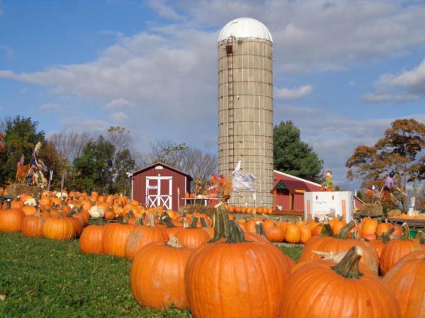 Hellerick's Family Farm