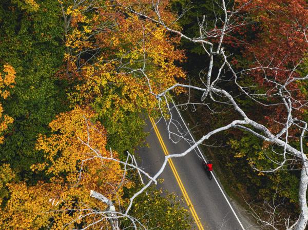 A fall day on the Burlington Bike Path