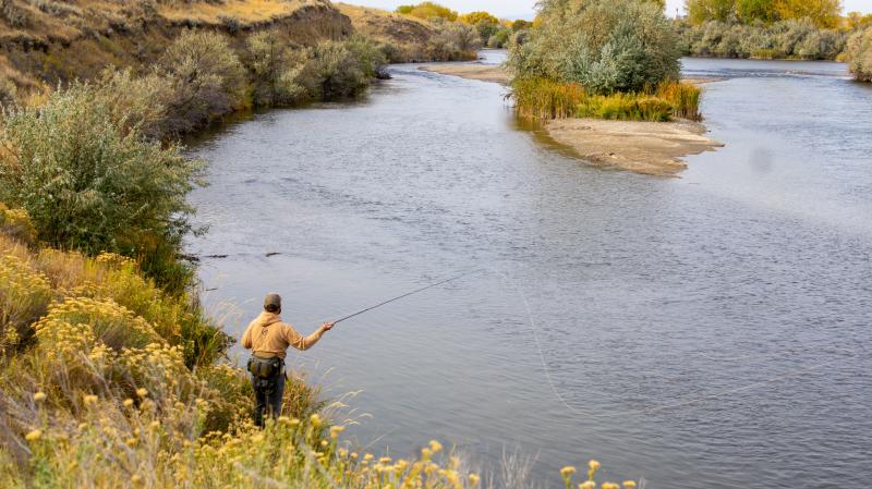 Fishing the North Platte and Fall Colors