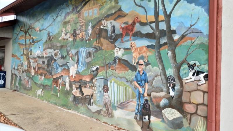 The Martinsville Pet Hospital mural features real pets that have been patients there! Photo from Ken N. via Yelp.