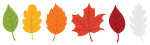 fall color indicator-just past peak