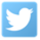 Twitter Icon