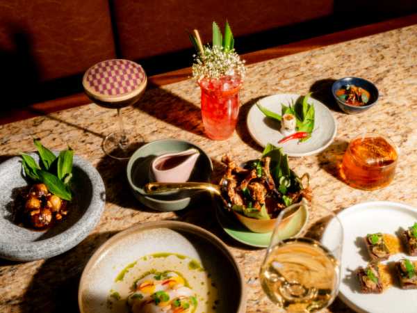 Good Thief - Rebellious Vietnamese