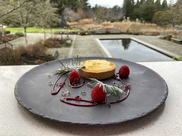 Grand Fir Lemon tart