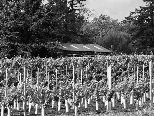 Chapter Estate Winery