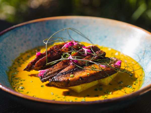 Portobello Mushroom in the sunshine