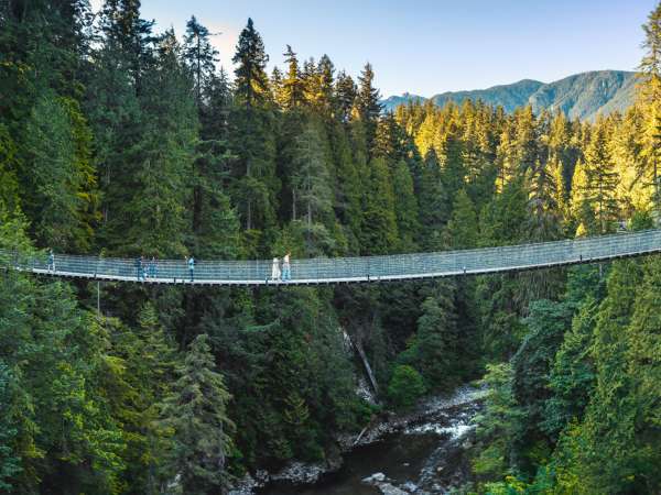 DTN - HI - Attractions - Capilano Suspension Bridge Park