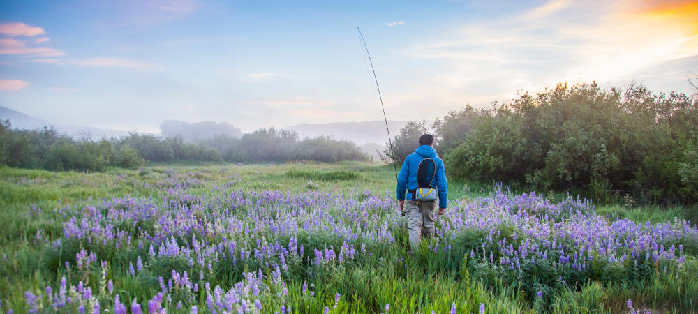 Top Ten Summer Activities in Steamboat Springs: Fishing