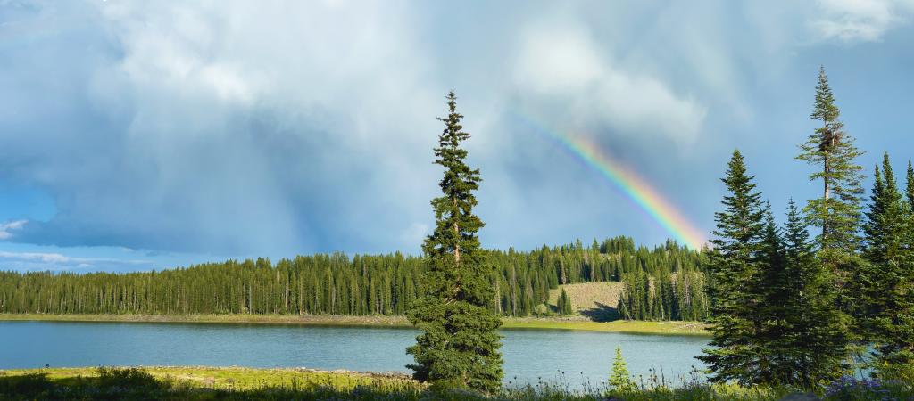 Ward Lake