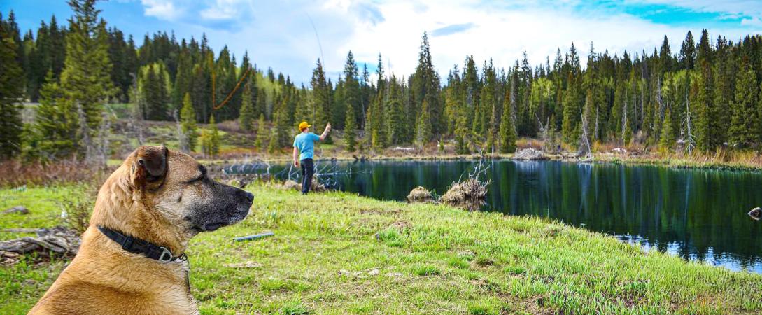 Fishing on the Grand Mesa