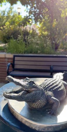 Art on the Corner Statue of an Alligator