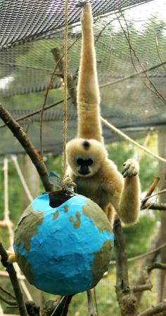 Party for the Planet