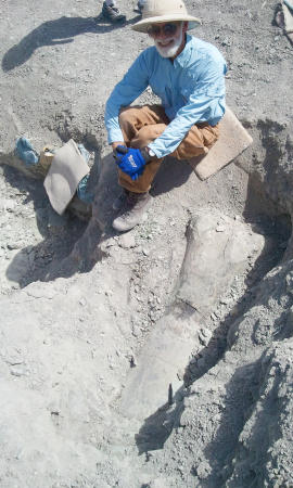 Man Digging for Dino Bones at Mygatt Moore Quarry