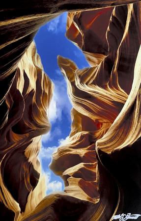 The Seahorse by Todd Bennett