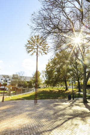 The People Tree in Downtown Columbia