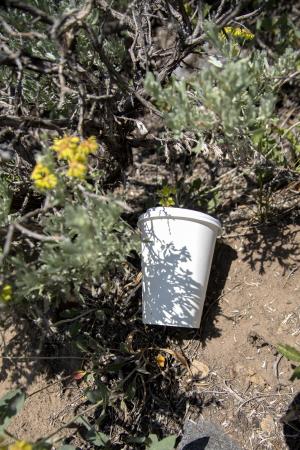 Trash Cup in Wilderness Recreate Responsibly