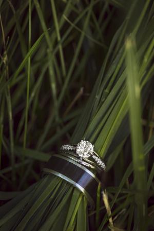 Wedding rings in grass in Laramie, Wyoming