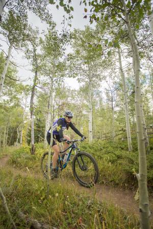 Mountain biking through the aspen trees in Happy Jack Recreational area