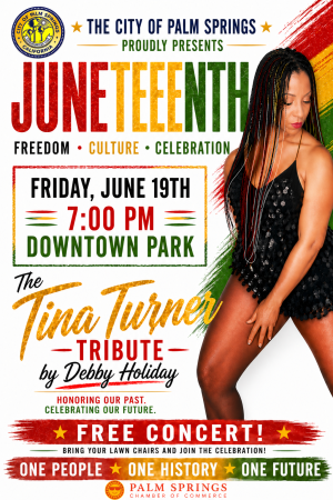 trina turner tribute band poster- playing in Palm Springs downtown park