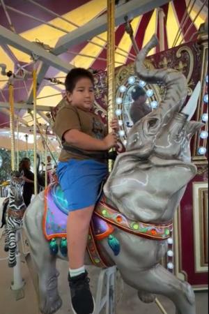 Elephant Carousel