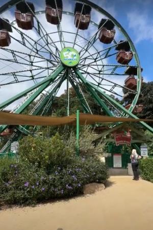 50 monkey ferris wheel
