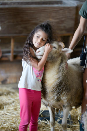 girl with sheep