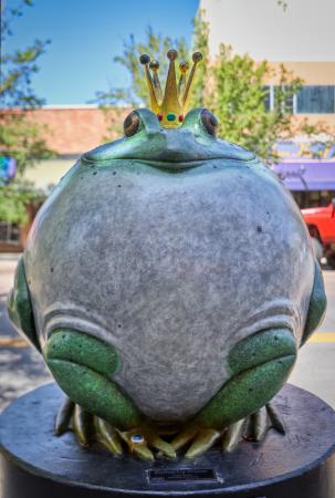 Royal Frog Downtown Grand Junction
