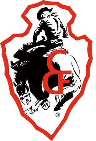 CFD arrowhead logo