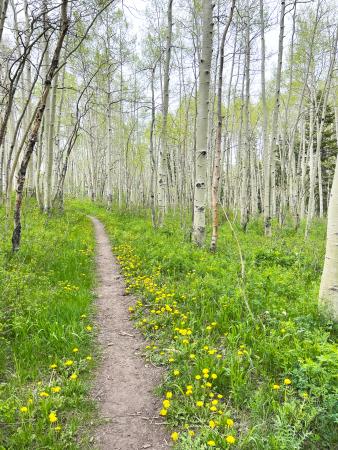 Turkey Flats Loop