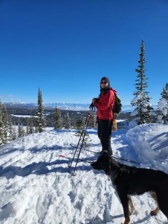 Person and Dog Cross Country Skiing on Grand Mesa