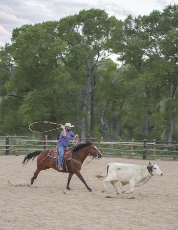 Vee Bar Guest Ranch Roping