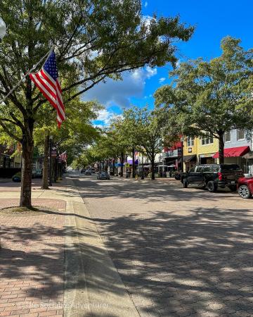 Hay Street with flags and shops