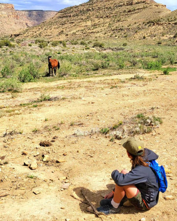 Boy seeing a horse at the Little Book Cliffs Wild Horse Range