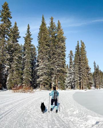 Woman and Dog Nordic Skiing on the Grand Mesa