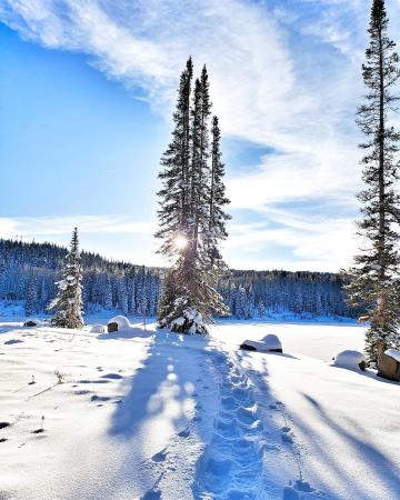 Snowy Landscape on the Grand Mesa
