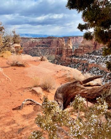 Overlooking Colorado National Monument with Light Snow